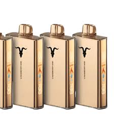 (Apenas Retirada) Açaí 770ml